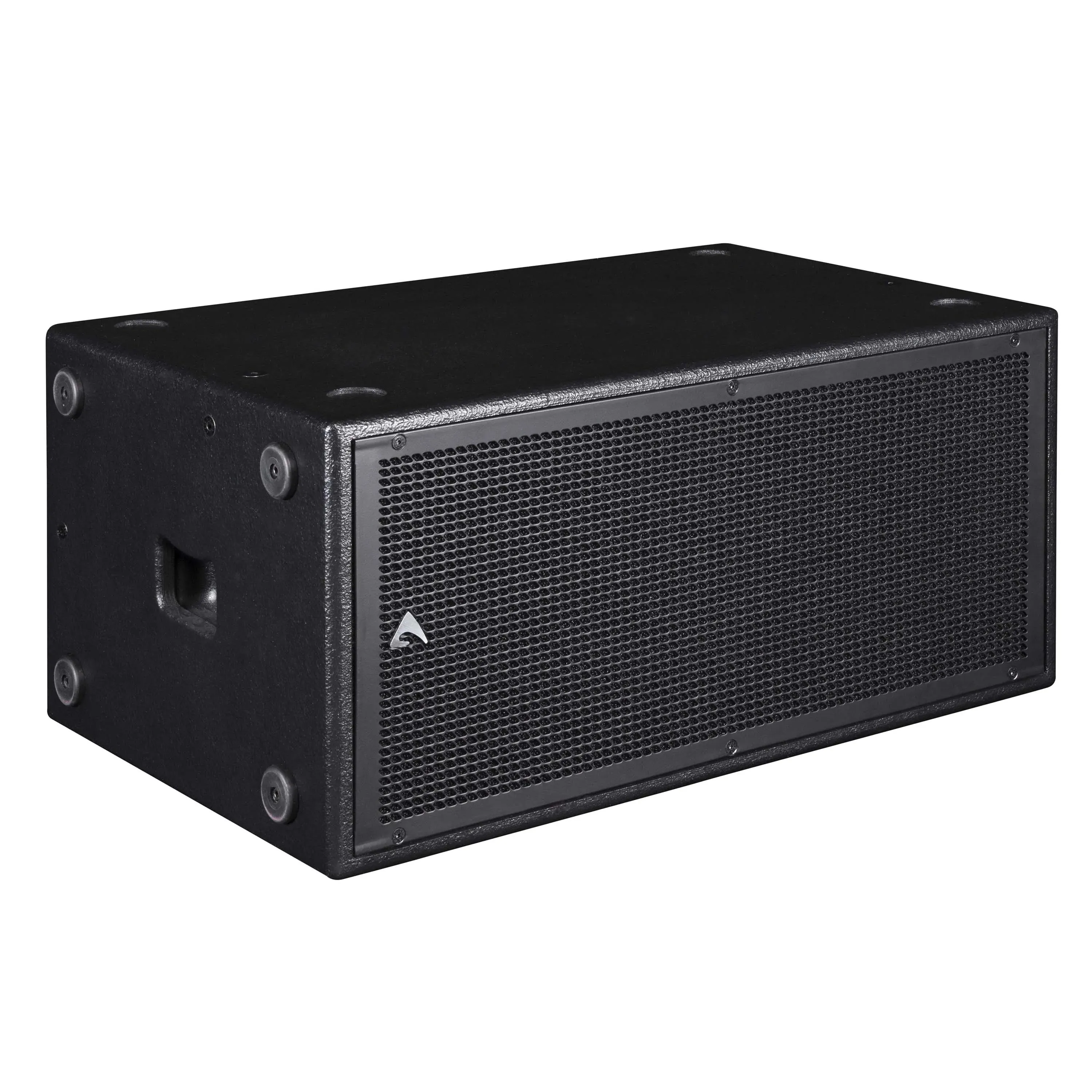 Axiom SW210P Direct Radiating Subwoofer - 2 x 10”