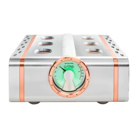 Dan D'Agostino Relentless 800 Monoblock Amplifier (pair)