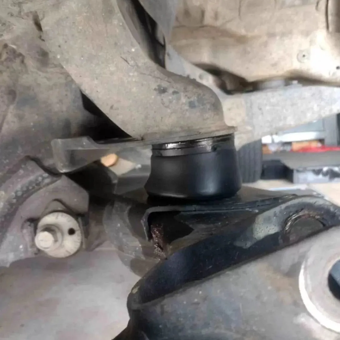DuroBumps Front Bump Stops for Tacoma (2005-2023)