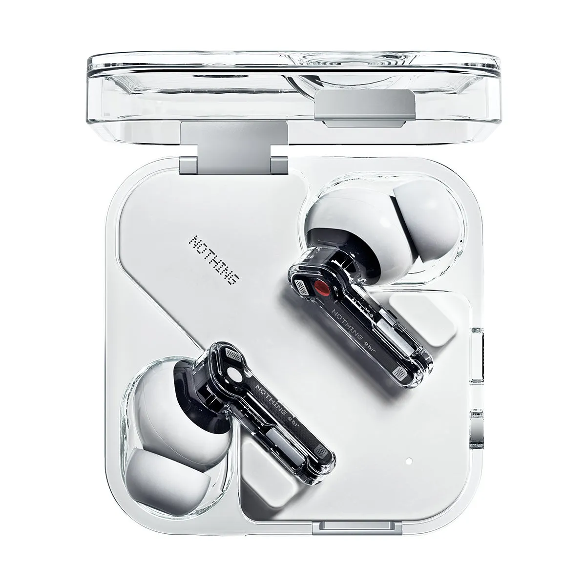 Ear 'White'
