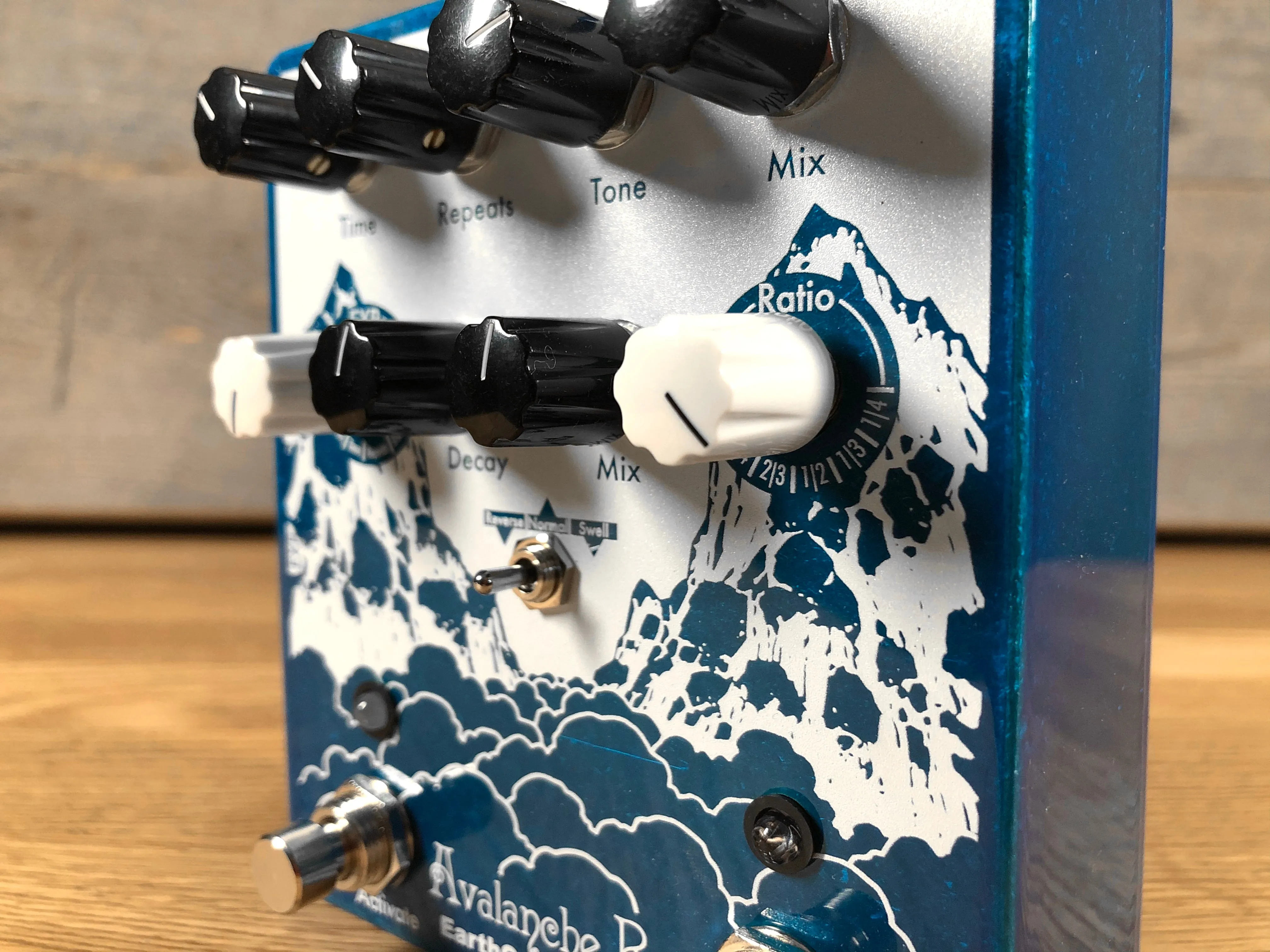 Earthquaker Devices Avalanche Run