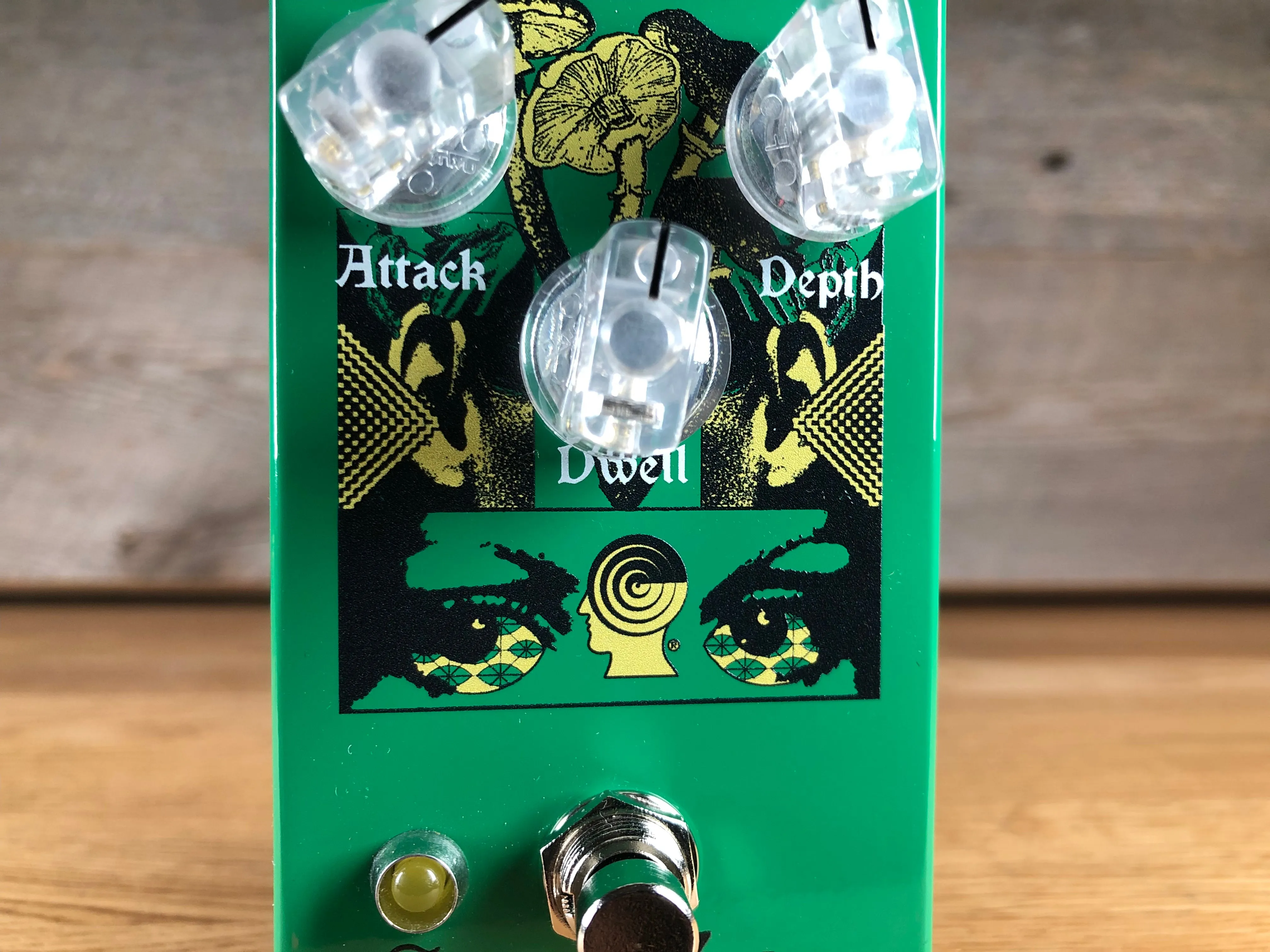 EarthQuaker Devices Brain Dead Ghost Echo