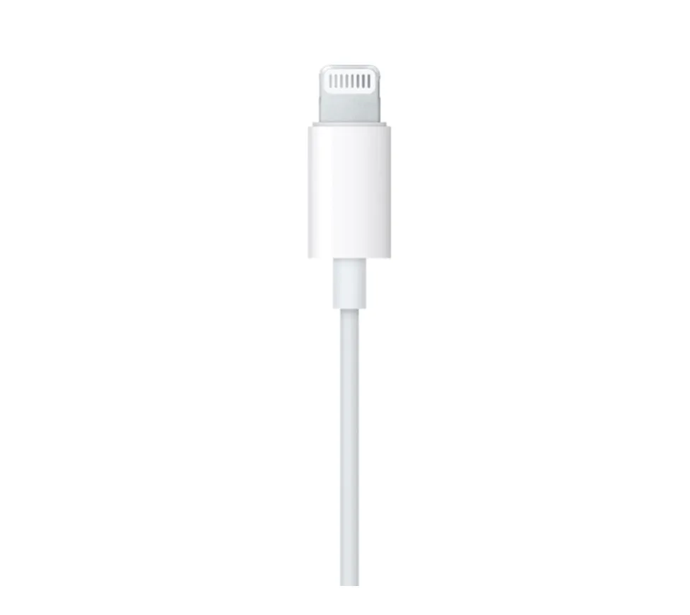 <div style="font-size:80%">Apple EarPods<br>(Lightning Connector)<br>(Apple 1 Year Warranty)</font></div>