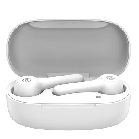 Noise Buds VS201 Truly Wireless Earbuds