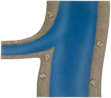 River Expansion: Tributaries