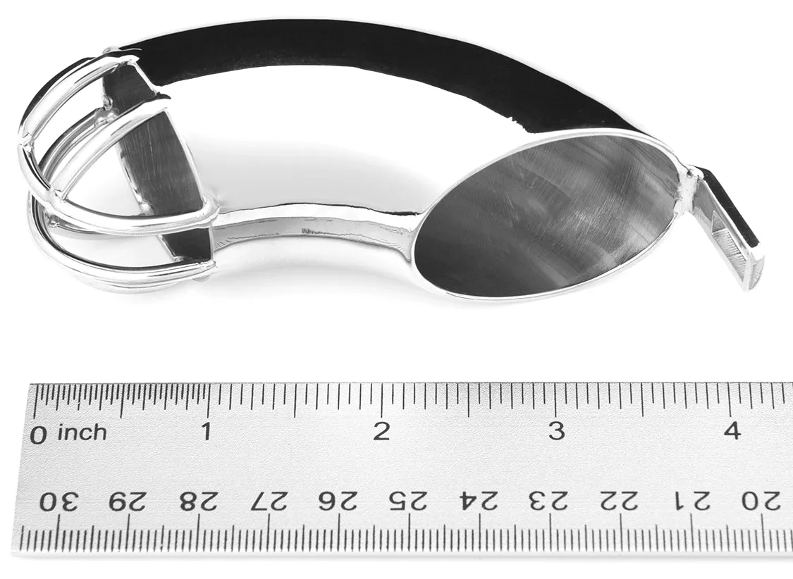 THE CURVE STAINLESS STEEL CHASTITY DEVICE